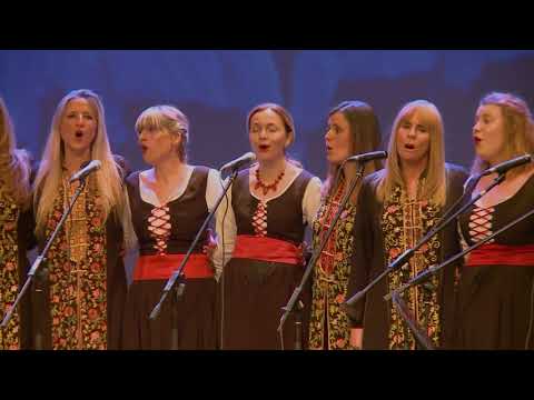 14. Divojka je zelen bor gojila (Klapa Valovi y Klapa Dišpet)