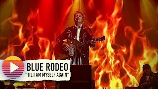 Blue Rodeo ‘Til I Am Myself Again’ (2025)