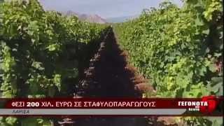 ΦΕΣΙ 200 ΧΙΛ. ΕΥΡΩ ΣΕ ΣΤΑΦΥΛΟΠΑΡΑΓΩΓΟΥΣ 11 08 2014