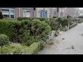Op hol geslagen paard trekt koets door tuintjes