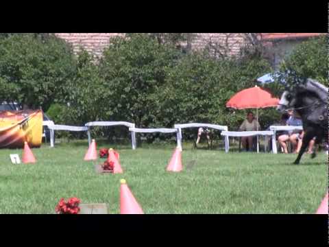 11. Hagyományőrző Lovasnap.