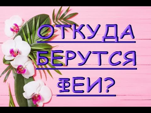 Орхидеи:ПОТРЯСАЮЩЕЕ домашнее ЦВЕТЕНИЕ ВАНД Людмилы Воронцовой,и откуда берутся феи :)