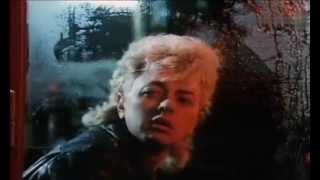 Brian Setzer - Boulevard Of Broken Dreams 1986
