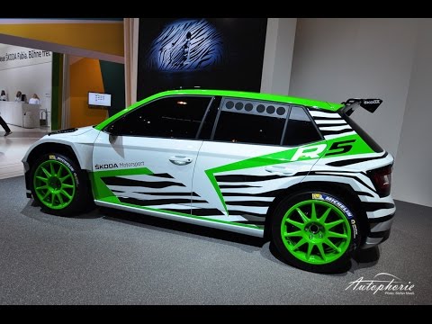 Essen Motor Show 2014: Skoda Fabia R5 Concept Car vorgestellt