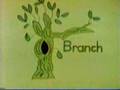 Sesame Street B Is For Bear Branch