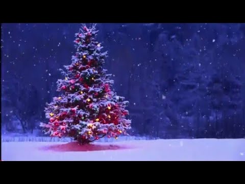 12 Hour Beautiful Christmas Lullaby • Soft Instrumental Christmas Music • Music Box • Baby Sleep