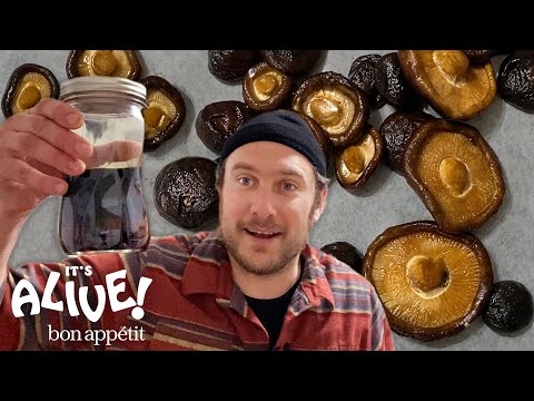 Brad Makes Fermented Mushrooms | It's Alive @ Home | Bon Appétit
