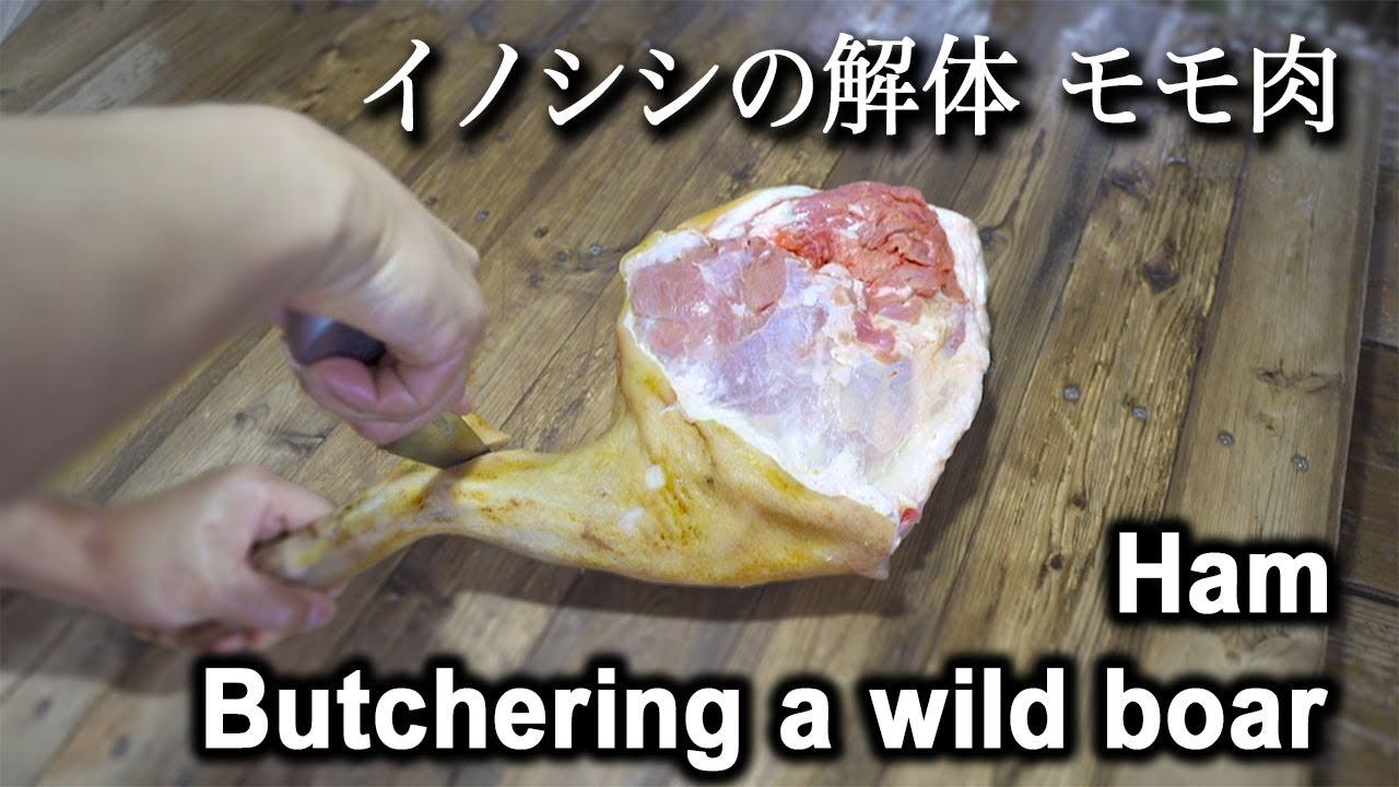 ★保存版★イノシシの後ろ足の解体【キレイに脱骨-Part2】もも肉・スネ肉から大腿骨・脛骨・腓骨・リンパをはずすまで