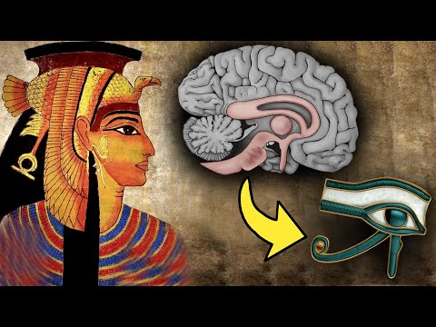Third Eye Pineal Gland: The Biggest Cover-Up in Human History