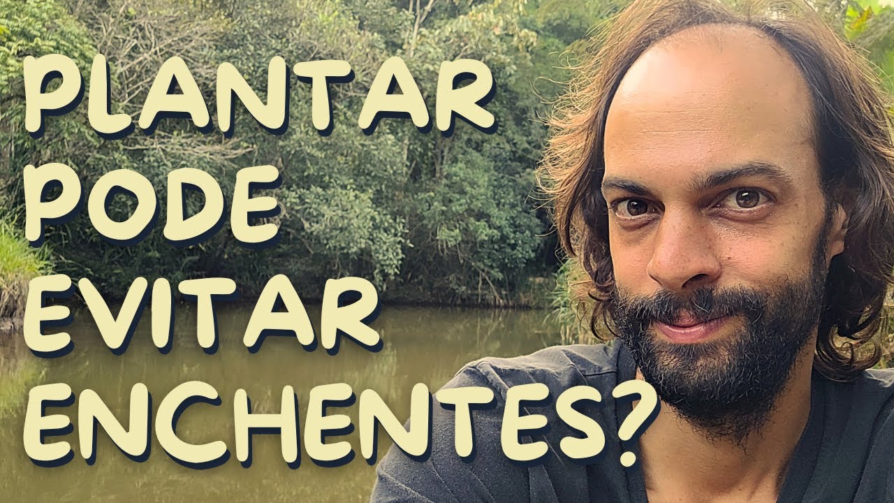 Como evitar Enchentes, Inundações e Alagamentos - Agrofloresta é Solução?