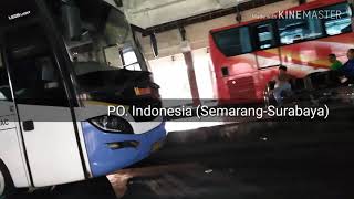preview picture of video 'Hunting Singkat Bus-bus yang Masuk Terminal Mangkang'