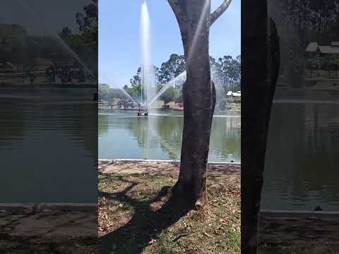 Lagoa central de Leme/SP