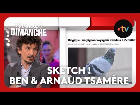 Sketch ! Arnaud Tsamère est le "pigeon" de Ben - Vivement Dimanche 31 mars 2019