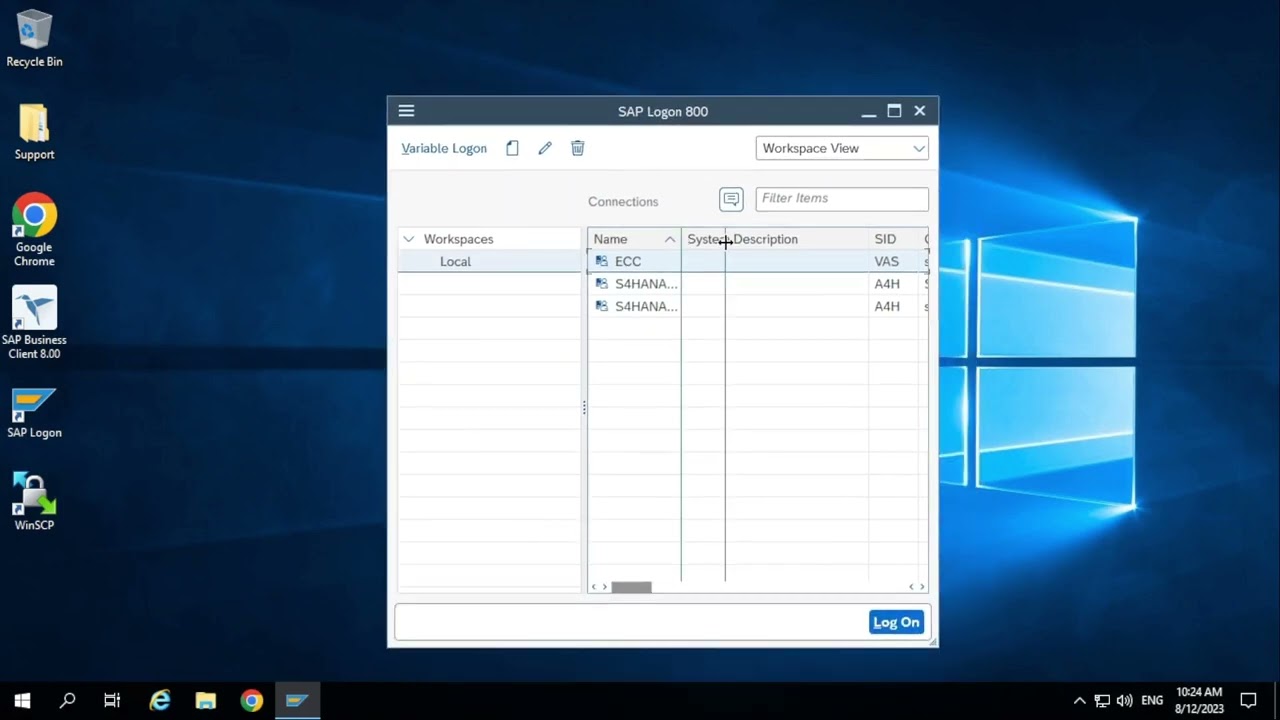 C5 . SAP ABAP Sample Program using Data Types