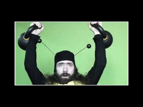 November project - Korzenie