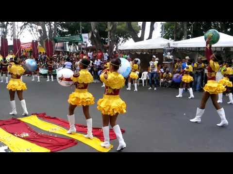 Pelotão Coreográfico FAMUNAZA 2014 (Entrada)