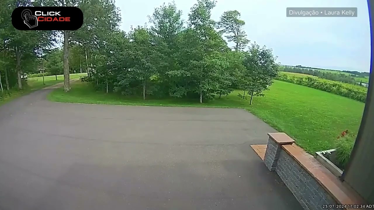 Thumbnail do YouTube