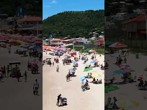 PRAIA da BARRA DA LAGOA Florianópolis Santa Catarina DRONE 4k PLAYA BEACH FLORIPA Piscinas Naturais