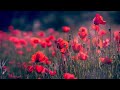 Amar Aguner Chai Jome Jome Only Vocal Without Music
