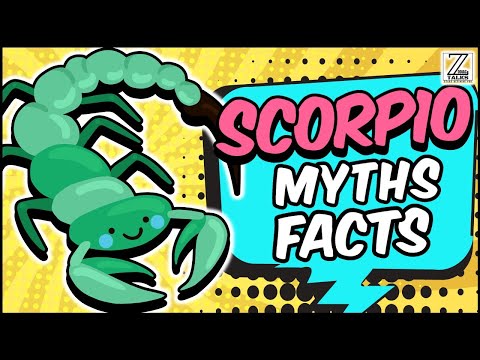 Youtube video image