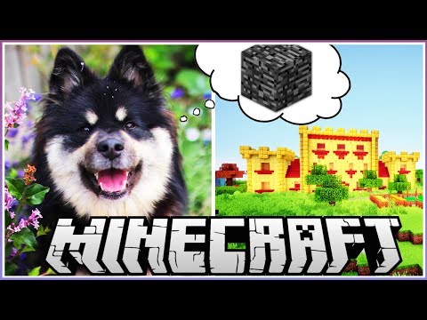 My Dog Helps Builds My Minecraft House!