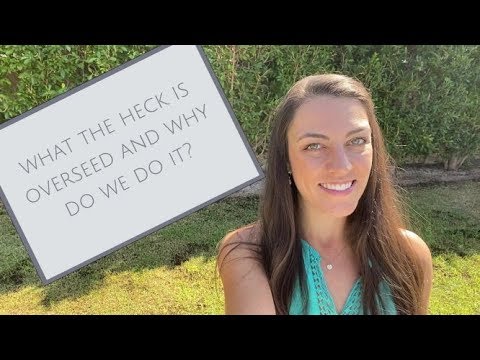 How To Overseed A Lawn