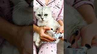 The Smart Cat Clipper