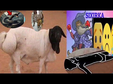 PART 3 Ninkii Wanka ahaa 8 sano iyo Dowladii Somalia Oo Naagti Wanka ka dhigtay qabatay