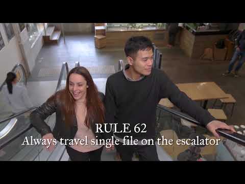 Kitty Flanagan's Rules for Life