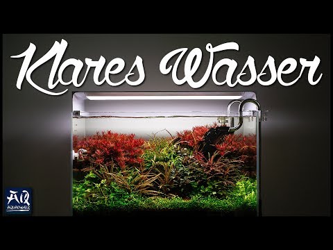 Immer klares Wasser im Aquarium - so geht's! | AquaOwner