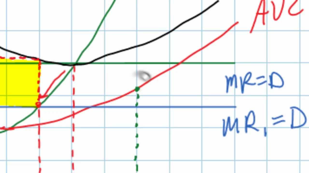 The "Shut-down Rule" - When should a firm shut down in the face of economic losses?