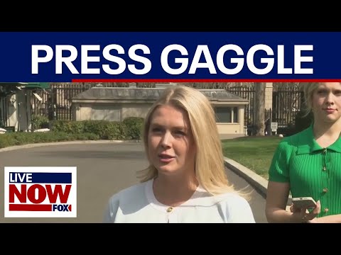 Video | Karoline Leavitt questioned on Department of Education plans