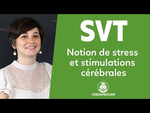 Stress et stimulations cérébrales