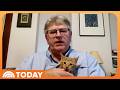 Man Adopts Stray Kitten at the Airport After Missing His Flight
