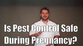 Is Pest Control Safe During Pregnancy?