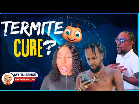 TR EP13) JAH CURE EXPOSED BY POPCAAN EX TERMITE,HE GAVE ME AND STD ,MI P•••Y ROTTEN ,DENIES KNOWING