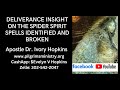 DELIVERANCE INSIGHT ON THE SPIDER SPIRIT SPELLS IDENTIFIED AND BROKEN