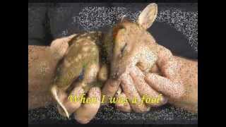 I Go Numb - Stephen Bishop with Lyrics.