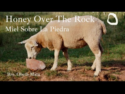 23-0322 “Honey Over The Rock”