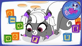 Маленький зоомагазин - Удачи!