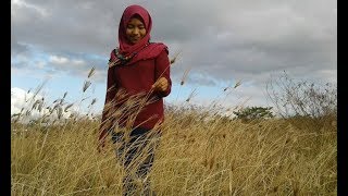 Download lagu Cilokaq Gambus Gr.Bangke - Berayen Dengan mp3