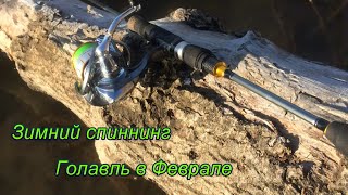 Ловля голавля в феврале на реке