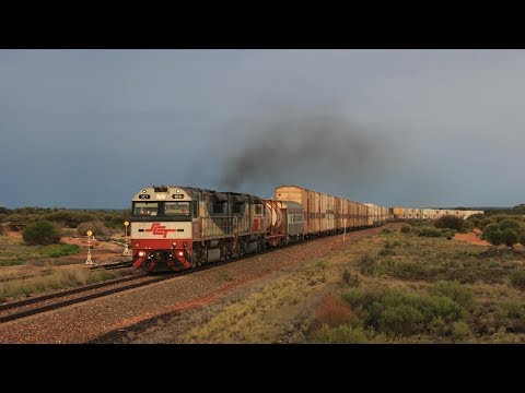 Ooldea Siding & Wirrappa: Trans Australian Railways Edition 4
