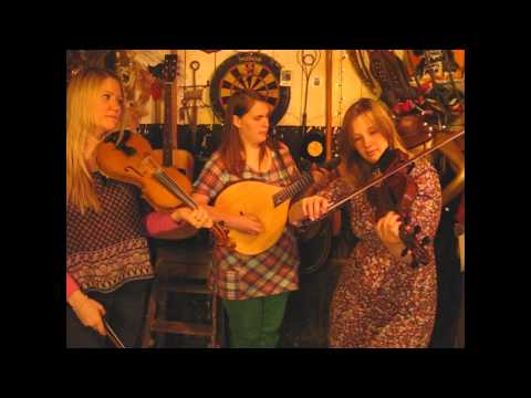 Vamm -  Miranda  - Songs From The Shed