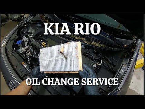 How to Change Engine Oil on your Vehicle 2018-2023 KIA RIO MPI POV | DIY  @WrenchingRyan