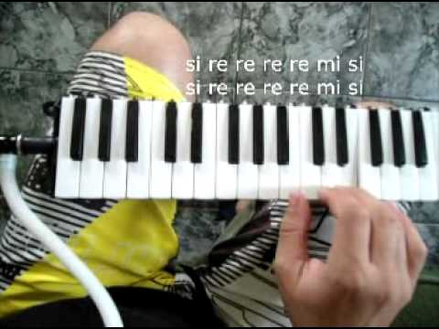 Dub Organizer - How to play the Melodica - Como tocar Escaleta