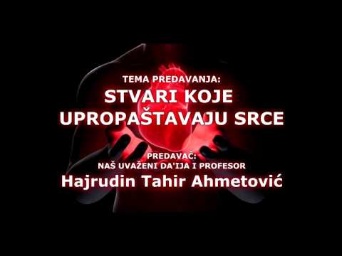 Loše društvo - prof. Hajrudin Ahmetovic