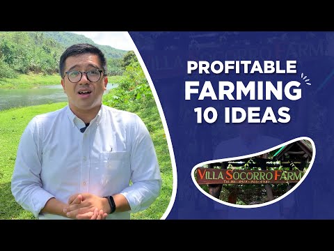 , title : '10 IDEAS FOR A PROFITABLE FARM TOURISM'