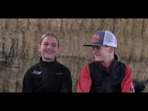 Raising and Showing Sheep 101