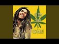 BOB MARLEY BEST PLAYLIST JAMZ